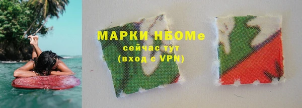 прущие грибы Дмитриев