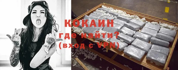 прущие грибы Дмитриев
