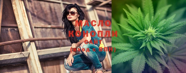 прущие грибы Дмитриев