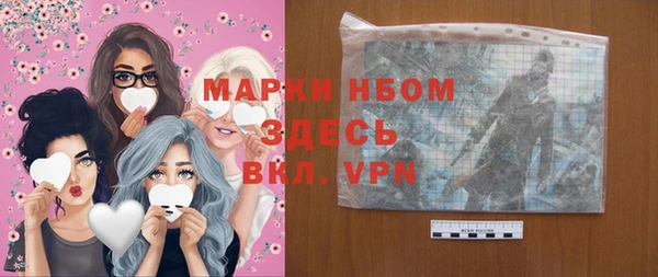 прущие грибы Дмитриев