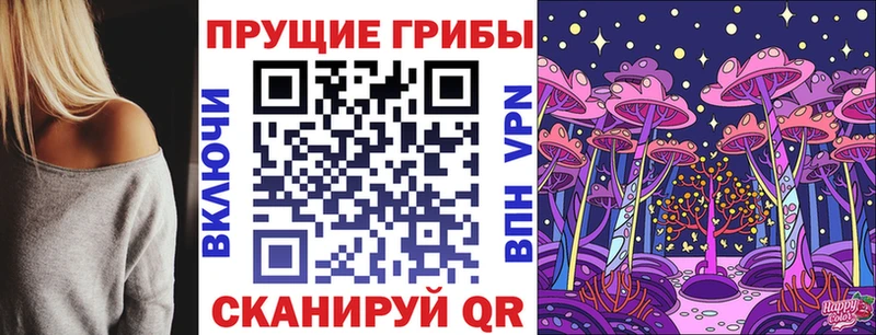Купить где  Усмань  Псилоцибиновые грибы ЛСД 